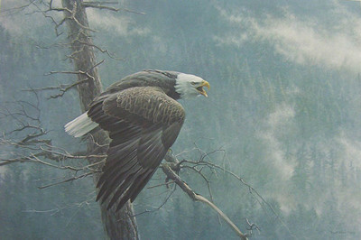 Robert Bateman 
