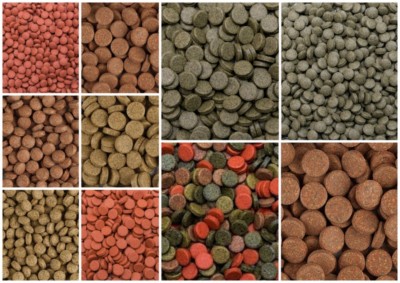 Tropical Tabletten Vege, Color, Garlic, Spirulina Haft- und Bodentabletten Fisch