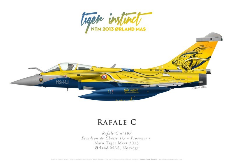 Print Dassault Rafale C, Ec 1/7 