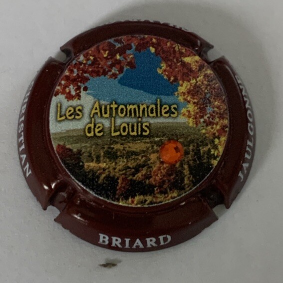 Capsule De Champagne Christian Briard