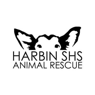 Harbin SHS Animal Rescue