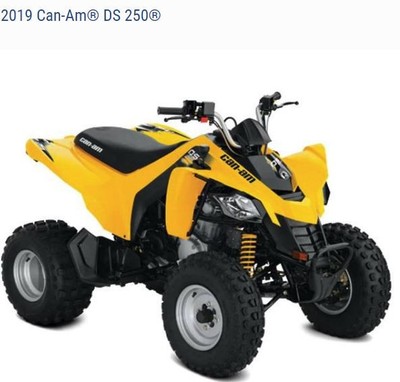 2019 Bombardier DS250 Yellow