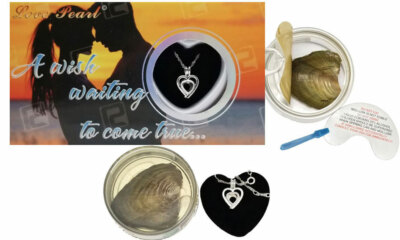 heart love wish pearl cultured pearl oyster necklace kit chasteness love purity 224337480313