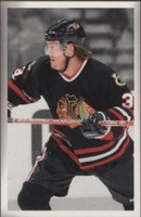 2003-04 Upper Deck Bee Hive - Bryan Berard #39