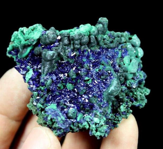 ボトリオイダル・アズライト ボトリオイダル・アズライト ボトリオイダル・アズライト ZX Torsion