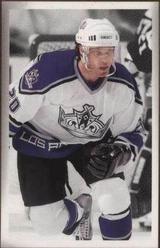 2003-04 Upper Deck Bee Hive - Luc Robitaille #91