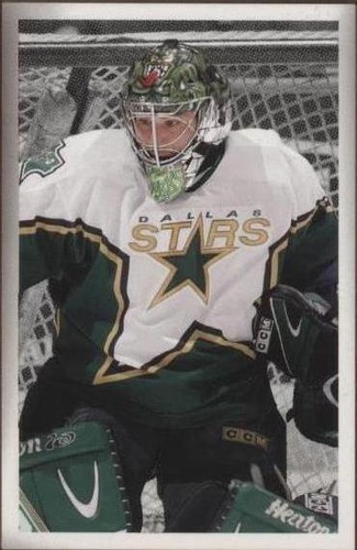 2003-04 Upper Deck Bee Hive - Marty Turco #67