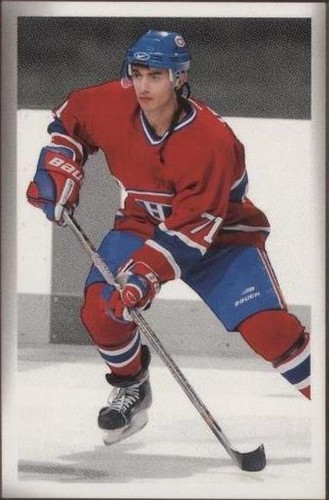 2003-04 Upper Deck Bee Hive - Mike Ribeiro #103