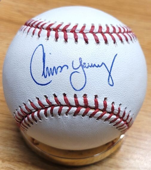 リーボックMLB Chris Young 支給グラブ リーボックMLB Chris Young 支給グラブ リーボックMLB Chris