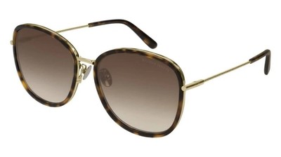 Pre-owned Bottega Veneta Bv0220sk 002 Round Oval Havana Brown 59 Mm Women's Sunglasses In Gradient Brown