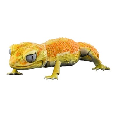 Bandai Gashapon Smooth Knob-tailed Gecko Action Figure ADVANCE Albino Pilbara