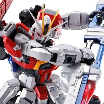 RG 1/144 Sword Impulse Gundam 2024 Limited JAPAN