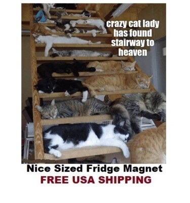 691 - Cute Crazy Cat Lady Heaven Fridge Refrigerator Magnet