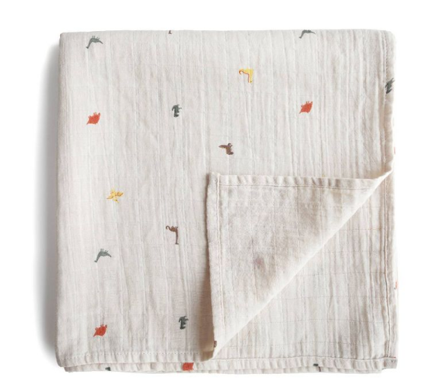 Organic Cotton - Dinosaur Print