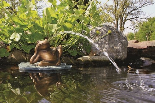Aquascape Lazy Frog on Lily Pad Spitter 78311