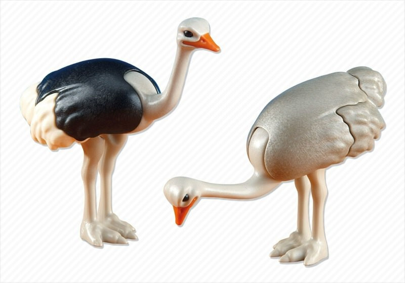 Playmobil 6260 OSTRICHES 2 Ostrich Animals Zoo Birds NEW ADD