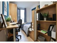 STUDENT ROOM TO RENT IN BRIGHTON. EN-SUITE AND STUDIO WITH PRIVATE ROOM, BATHROOM AND STUDY SPACE