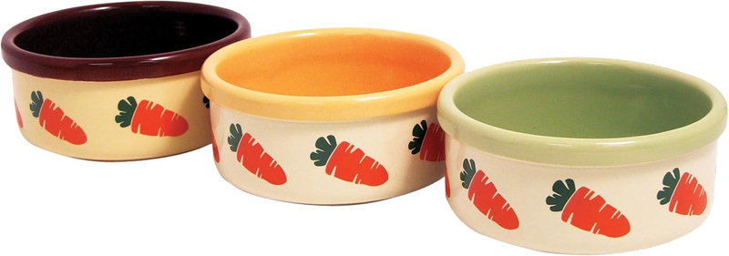 Rosewood Stoneware Ceramic Pet Bowl for Small Animals - Carrot Design, Food Bowl