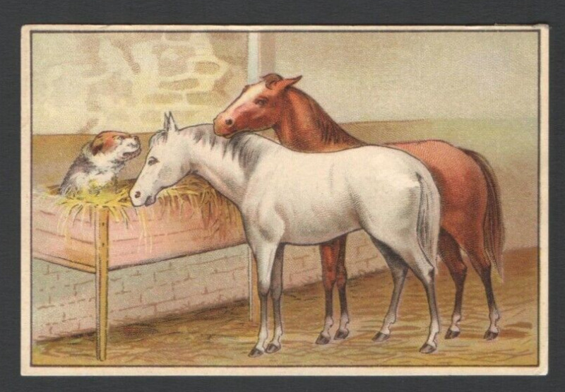Victorian Advertising Pianos Trade Card The Dog in the Manger Horses BrunswickNJ
