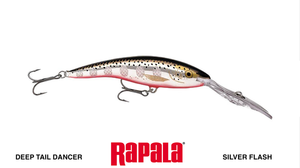 RAPALA TDD 11 DEEP TAIL DANCER  COLORE SFL SILVER FLASH 22 GR  SPINNING LUCCIO