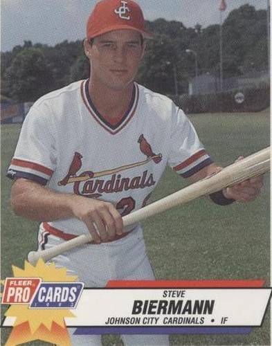 1993 Fleer ProCards Minor League - Steve Biermann #3684