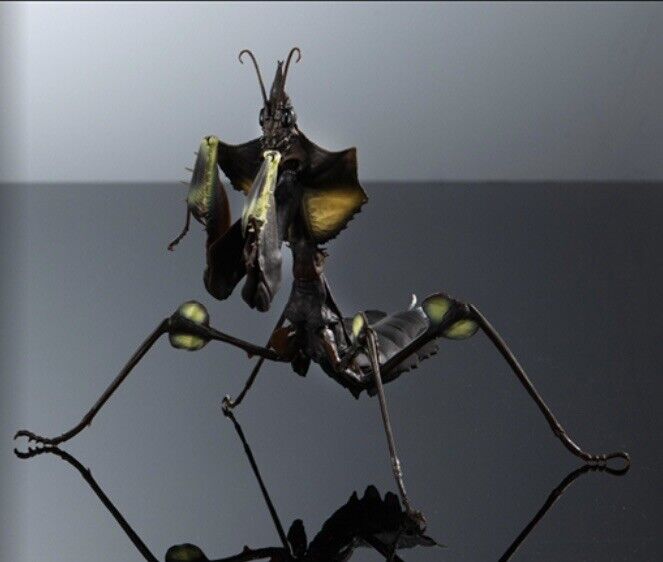 Bandai Advance Devil’s Flower Praying Mantis Larva A Figure w/ Movable Joints