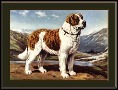 BERNARD DOG WARNING Aluminum Sign Dog Decal V2846 ST