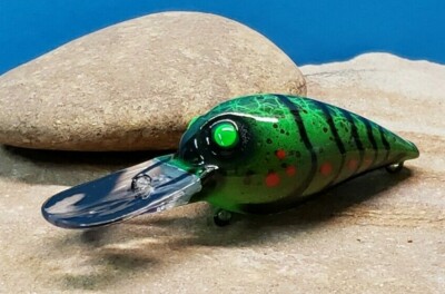 CUSTOM PAINTED Wiggle wart crankbait NEW (NEON CRAW)
