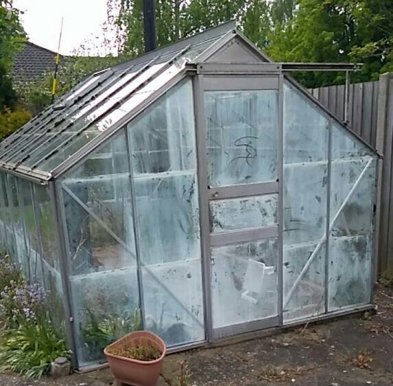 Greenhouse in Norwich, Norfolk Gumtree