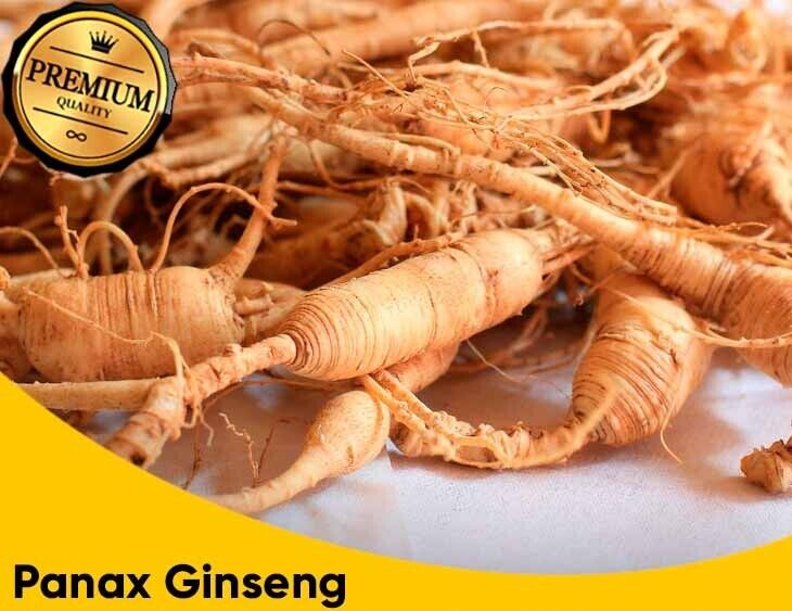 🔥 BigorUp 24 Sachets ⭐️ Big or Up 🔥 Bigor Up 24 Sachets - Package of 24 🔥 NEW