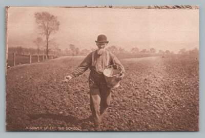 Farmer in Bowler Hat Sowing Seed "Sower of the Old School" Antique Postcard '10s