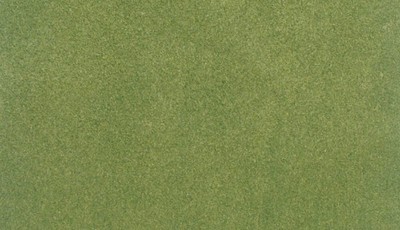 `Spring Grass Roll 25X33``      ` ACC NEW