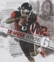 2013 SAGE Hit DeAndre Hopkins #ART-16