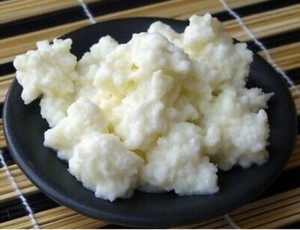 Organic Milk Kefir Grains Other Kitchen Dining Gumtree Australia Melbourne City Docklands 1248873065