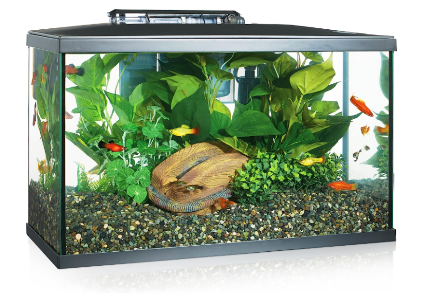 Marina Fish Tank LED Aquarium Kit 10 Gallon