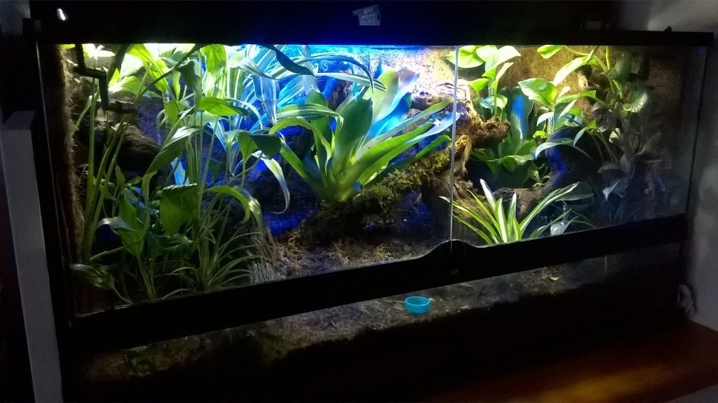 Exo terra terrarium planted bio active in Hockley, Essex Gumtree