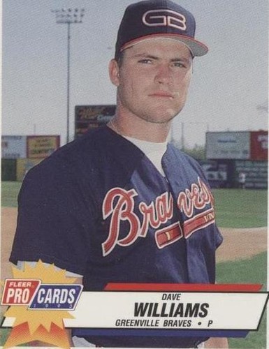 1993 Fleer ProCards Minor League - Dave Williams #351