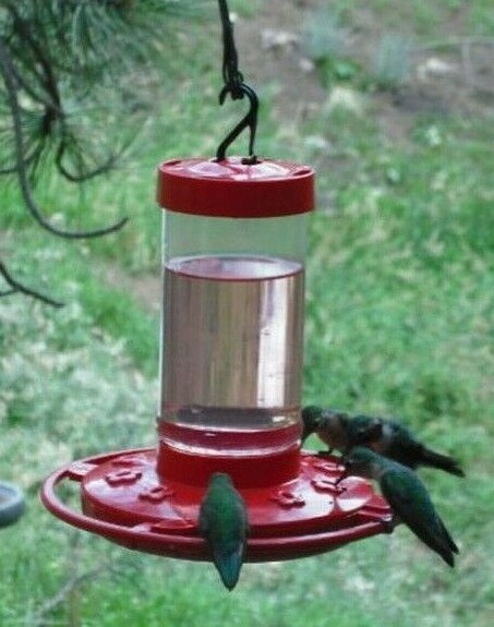 FIRST NATURE HUMMINGBIRD FEEDER #3051 WIDE MOUTH EASY CLEAN FILL MADE IN USA 16