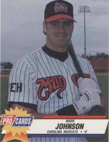 1993 Fleer ProCards Minor League - Mark Johnson #2061