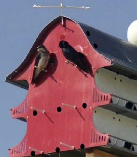 16 Family Purple Martin Barn Snaps Together Durable Lightweight Slip Resistant
