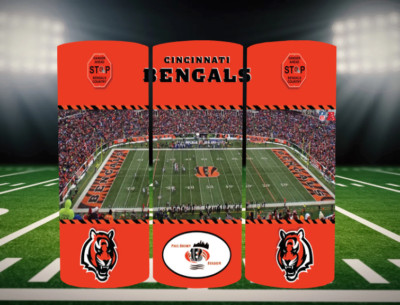 Cincinnati Bengals Stainless Steel NFL Tumbler Metal Straw 20oz Stadium View