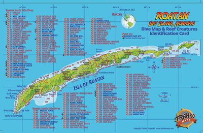 Roatan Dive Map & Reef Creatures Guide Waterproof Fish Card by Franko Maps
