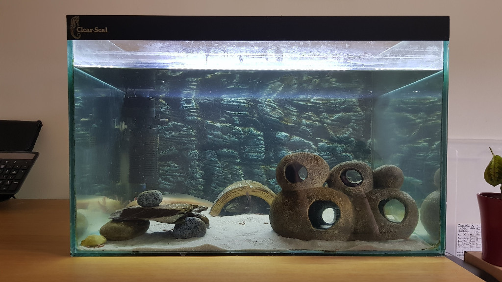 ClearSeal Designer Cube Aquarium/Fish Tank (90L) in Camden Town, London Gumtree