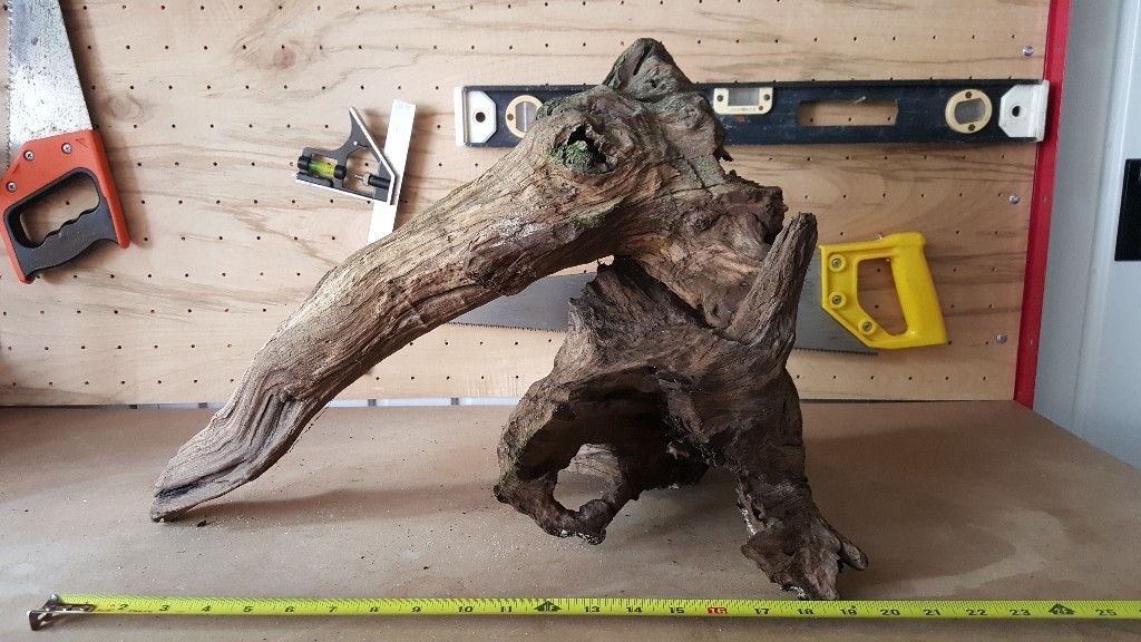 Aquarium bog wood in Astley, Manchester Gumtree
