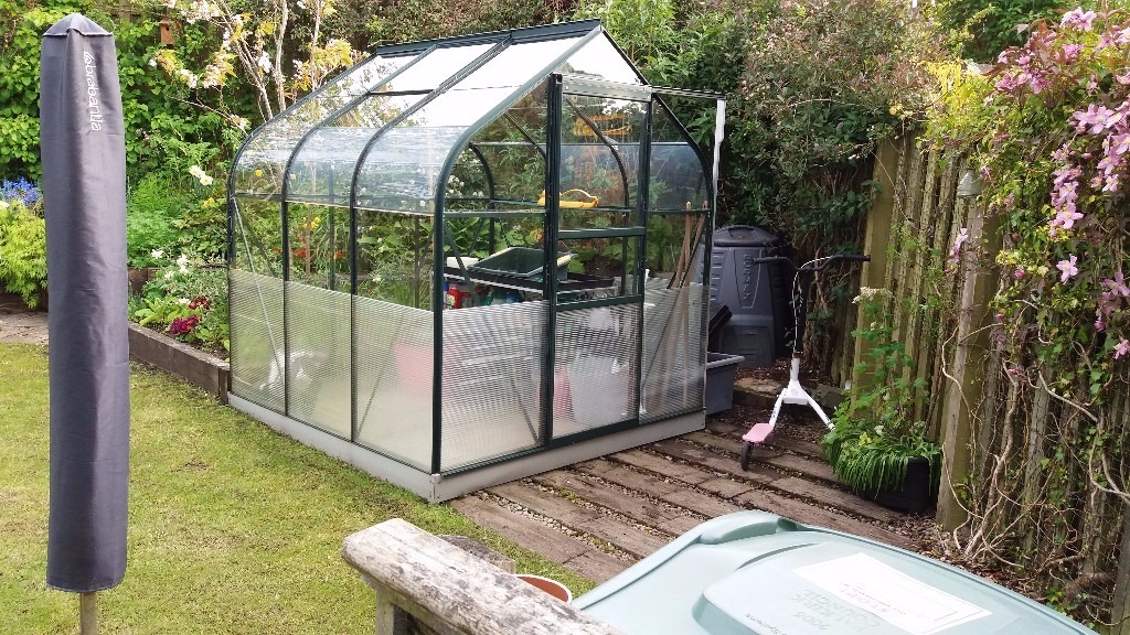 FOR SALE B&Q METAL 6X6 HORTICULTURAL GLASS GREENHOUSE POWDER COATED