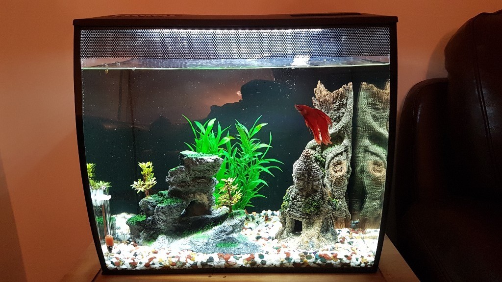 Fluval Flex 57L Complete Set Up With Accessories in Stokeon