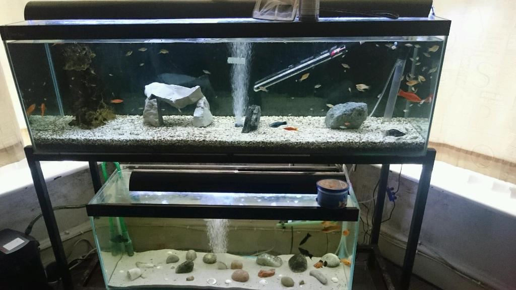 4ft wrought iron double tier fish tank stand in Wavertree, Merseyside