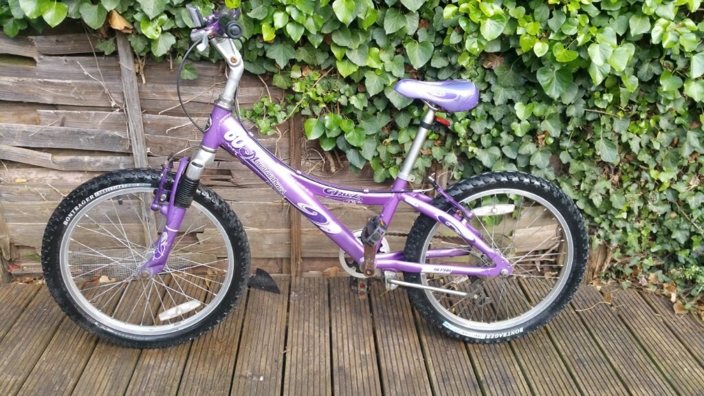 purple trek mountain bike