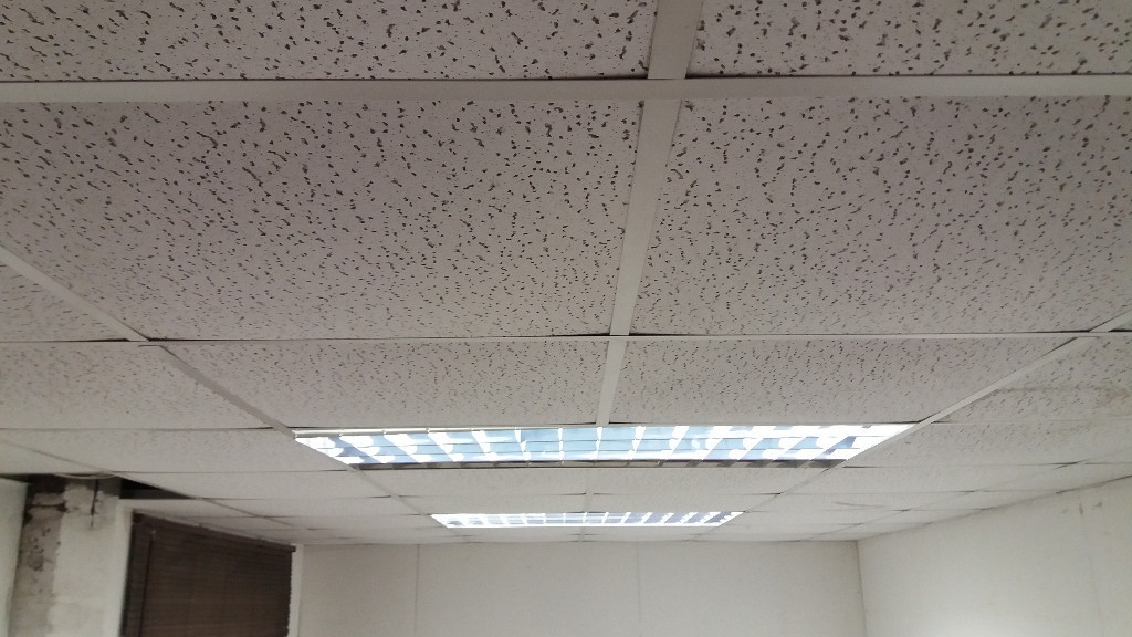 Suspended Ceiling With 2 Light Boxes In Peterhead Aberdeenshire Gumtree