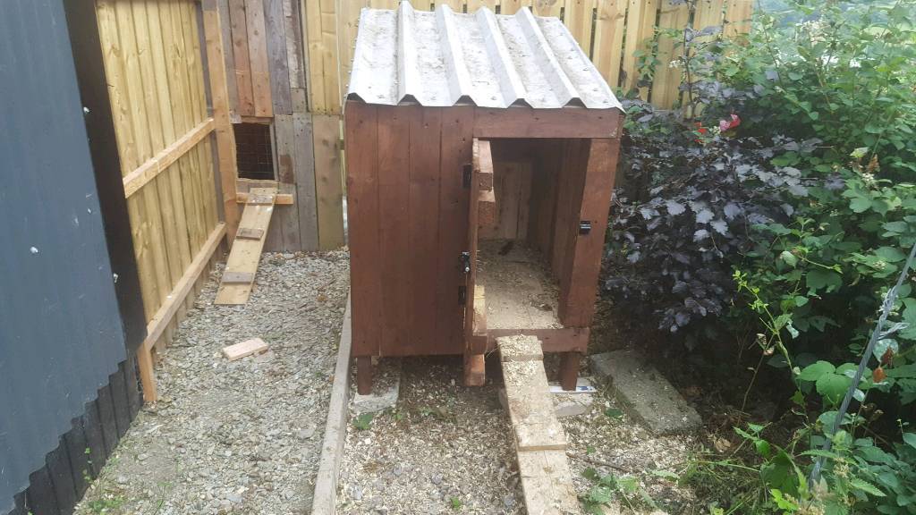 Hen house in Claudy, County Londonderry Gumtree